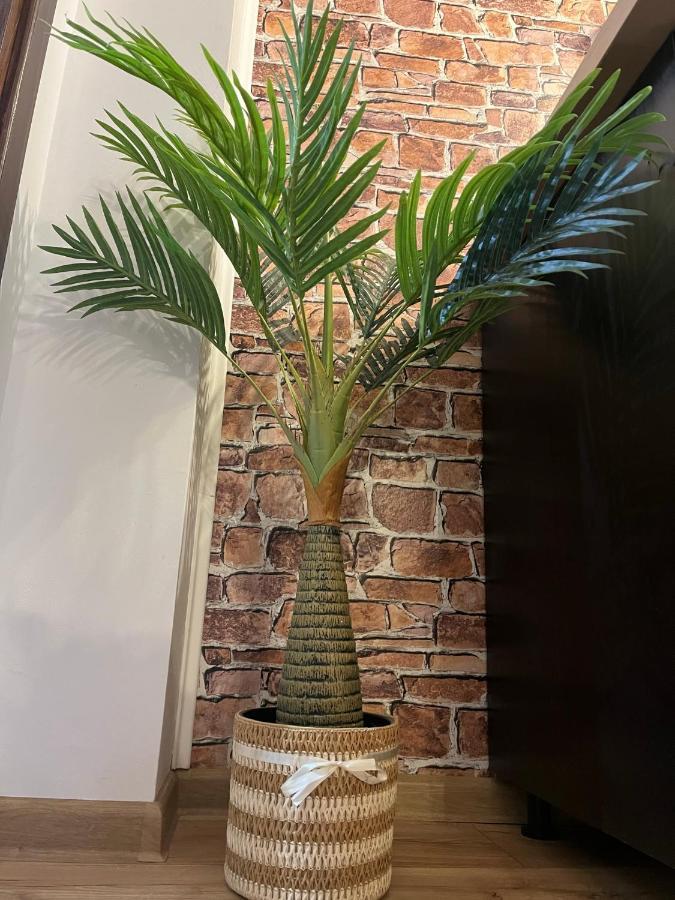Wood Studio 锡纳亚 外观 照片